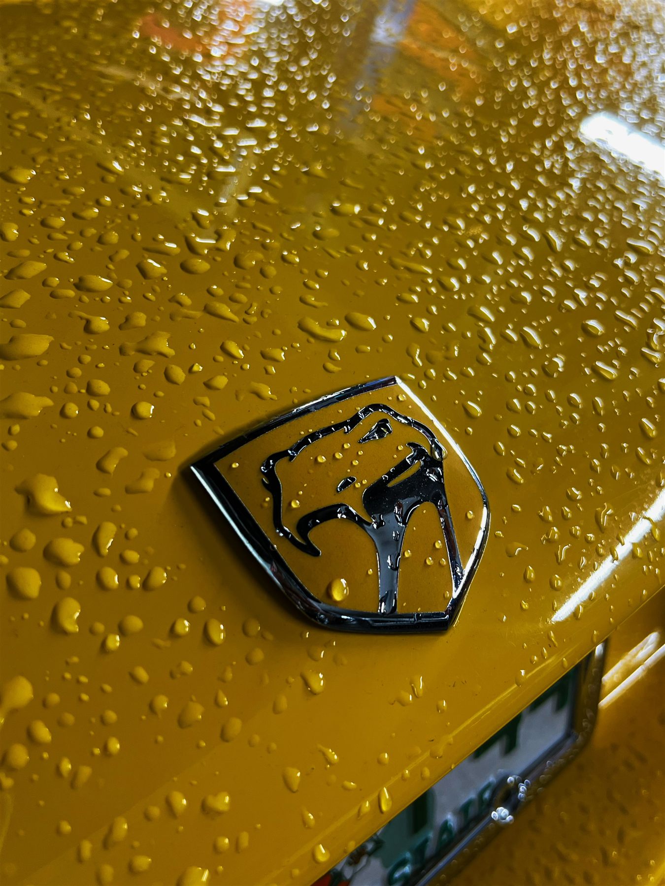 Yellow Dodge Viper badge detail with water droplets